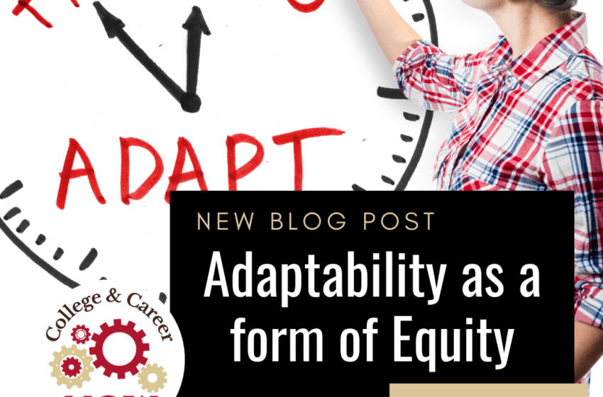  Adaptability as a Form of Equity
